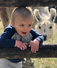 Luke Rolfing peeking through the fence