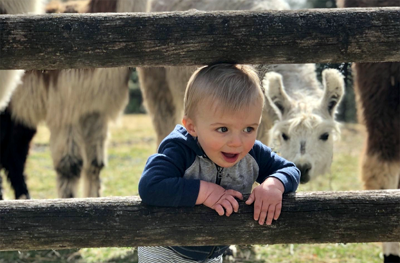 Child peering through fence