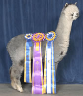 Snowmass Sterling Silver